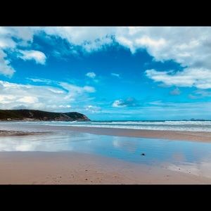 Meet your Posher, Daryl